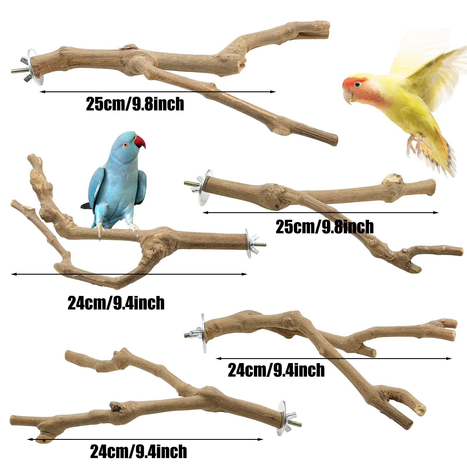5 Pz Posatoi per Uccelli, Posatoi in Legno di Uccelli, Trespolo per Uccelli e Pappagalli, Ramo D'uva Naturale Giocattolo Posatoi per Uccelli Legno Naturale per Cacatua, Cocorite