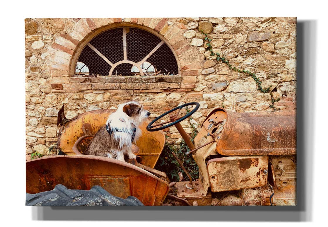 Epic Graffiti 'Archibald The Farmer' by IMB, Canvas Wall Art, 26"x18"