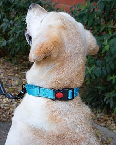 Miniatura 6 de Hilkycton Collar Martingale para perros, collar reflectante para cachorros con hebilla de liberación rápida, collar ajustable resistente con bloqueo
