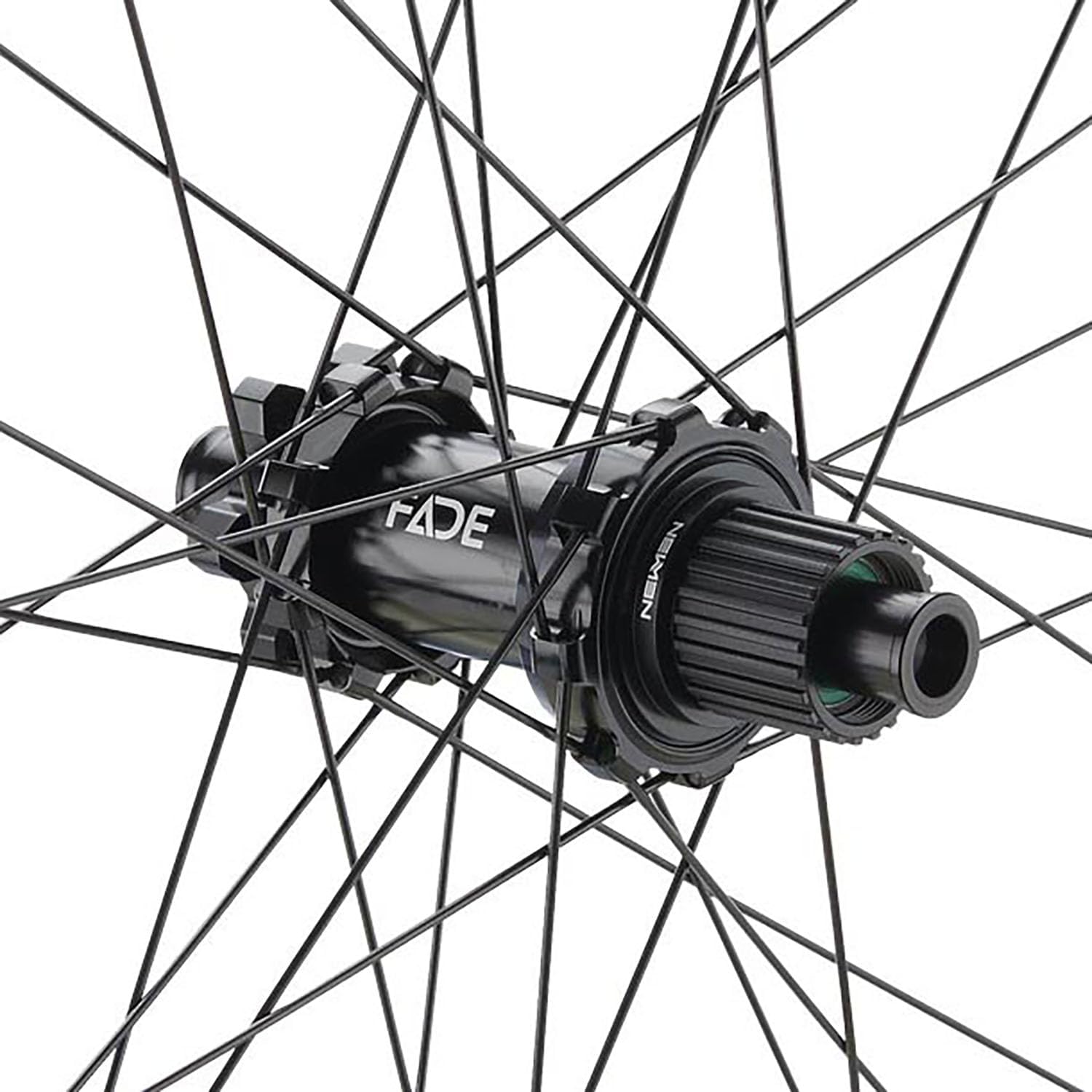 NEWMEN Fade Hub Close-up