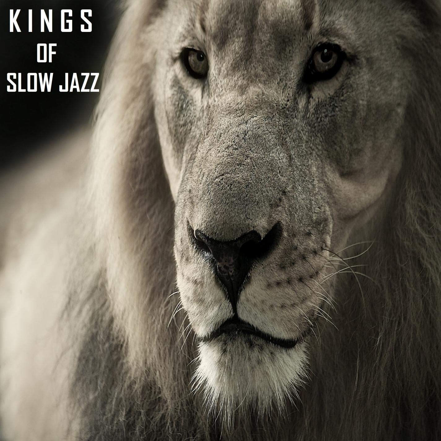 Kings of Slow Jazz