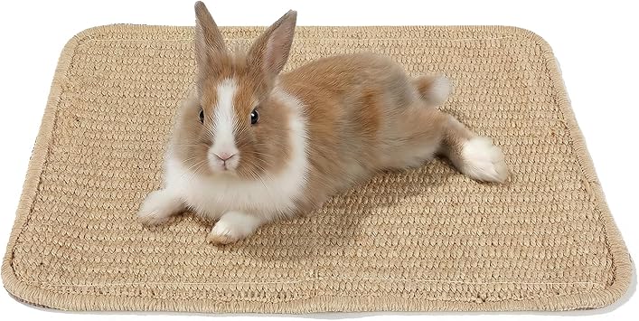 Nogeqi 1PCS Rabbit Scratching Pad, 30x40 CM Natural Sisal Bunny Scratch Pad, Rabbit Mat Claws and Teeth Care for Pet Small Animal Cage Chewing Bedding Biting Sleeping Nesting Toys Style 2