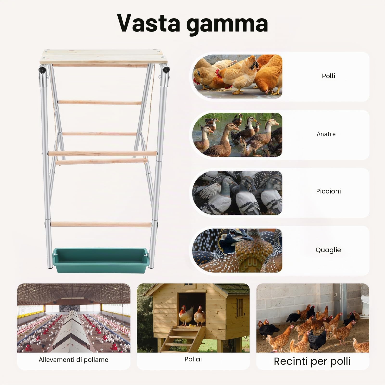 110 x 49 x 100 cm, posatoio per polli, in legno di eucalipto, a 4 livelli, con tromba, giocattolo per polli e galline