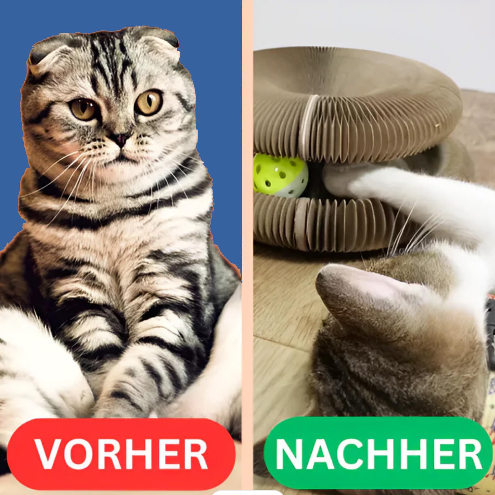Kratzkokon, Katzenwirbel, Tragbare Pet Cat Scratch Board, Katzenwirbel Für Große Katzen, Faltbar Interaktive Kratzunterlage Mit Ball (1pc)