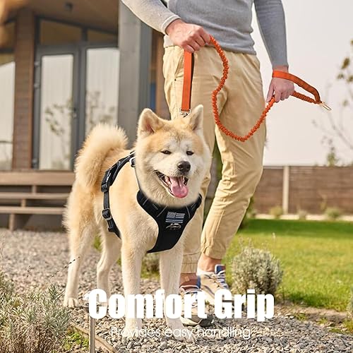 Miniatura 14 de BUMBIN Correa elástica para perro de 6 pies, correa elástica para perro con 2 asas, correas resistentes para perros medianos y pequeños, sin