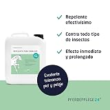 Ver la foto 2