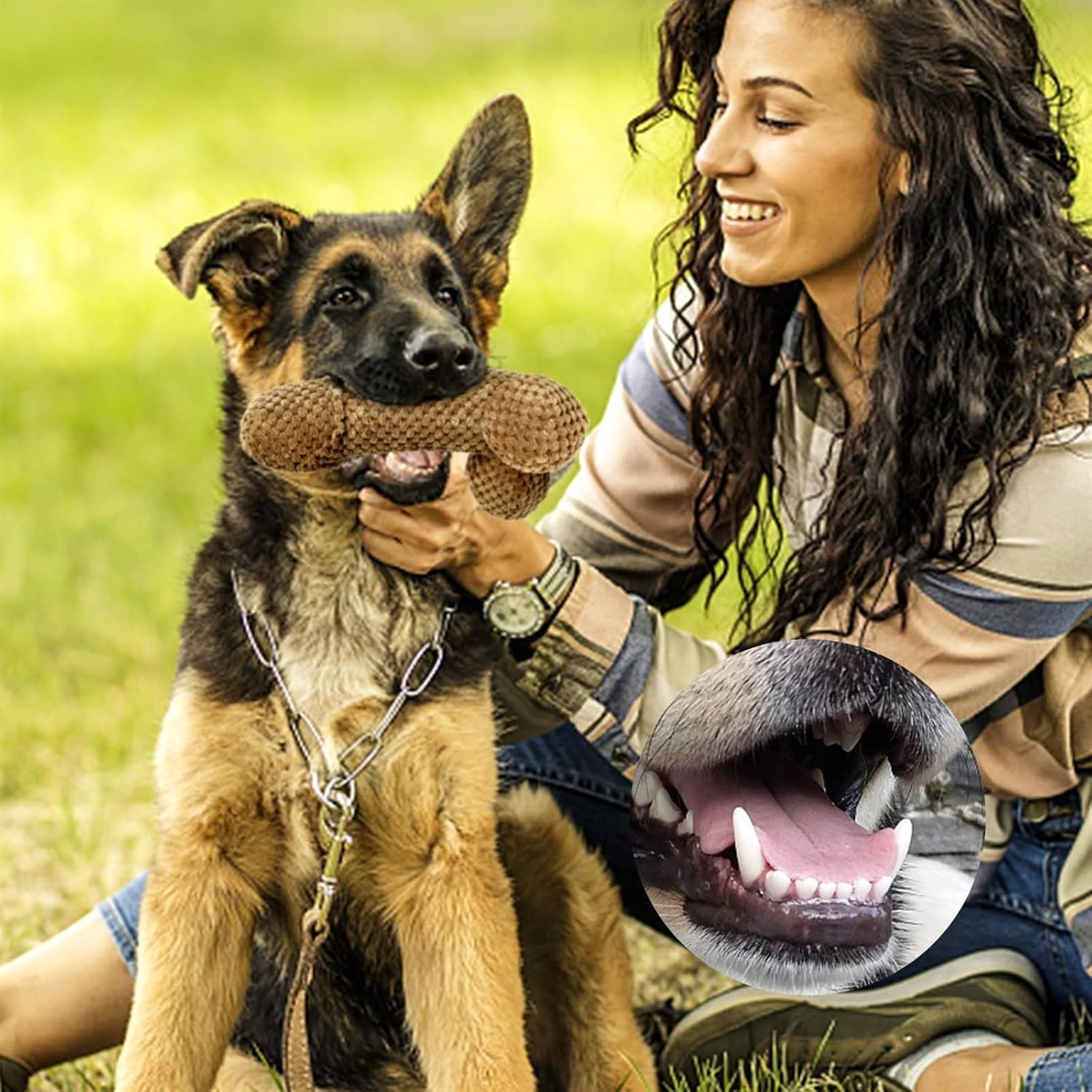 Psyfwznkny Penis Bone Indestructible Dog Toy, Durable Sexy Stuffed
