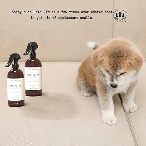 Miniatura 6 de Muse Apothecary Home Ritual - Spray eliminador de olores activo  Eliminador de olores para el hogar  Desodorizador de muebles en aerosol y