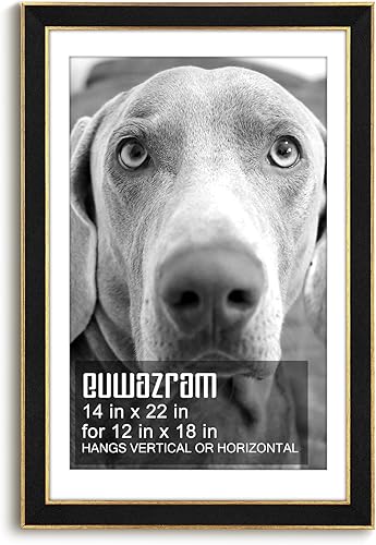 Miniatura 10 de Marco de gamuza de 10 x 13 pulgadas, marco individual, elegante marco verde de 10 x 13 pulgadas con paspartú para fotos de 8.5 x 11 pulgadas, para