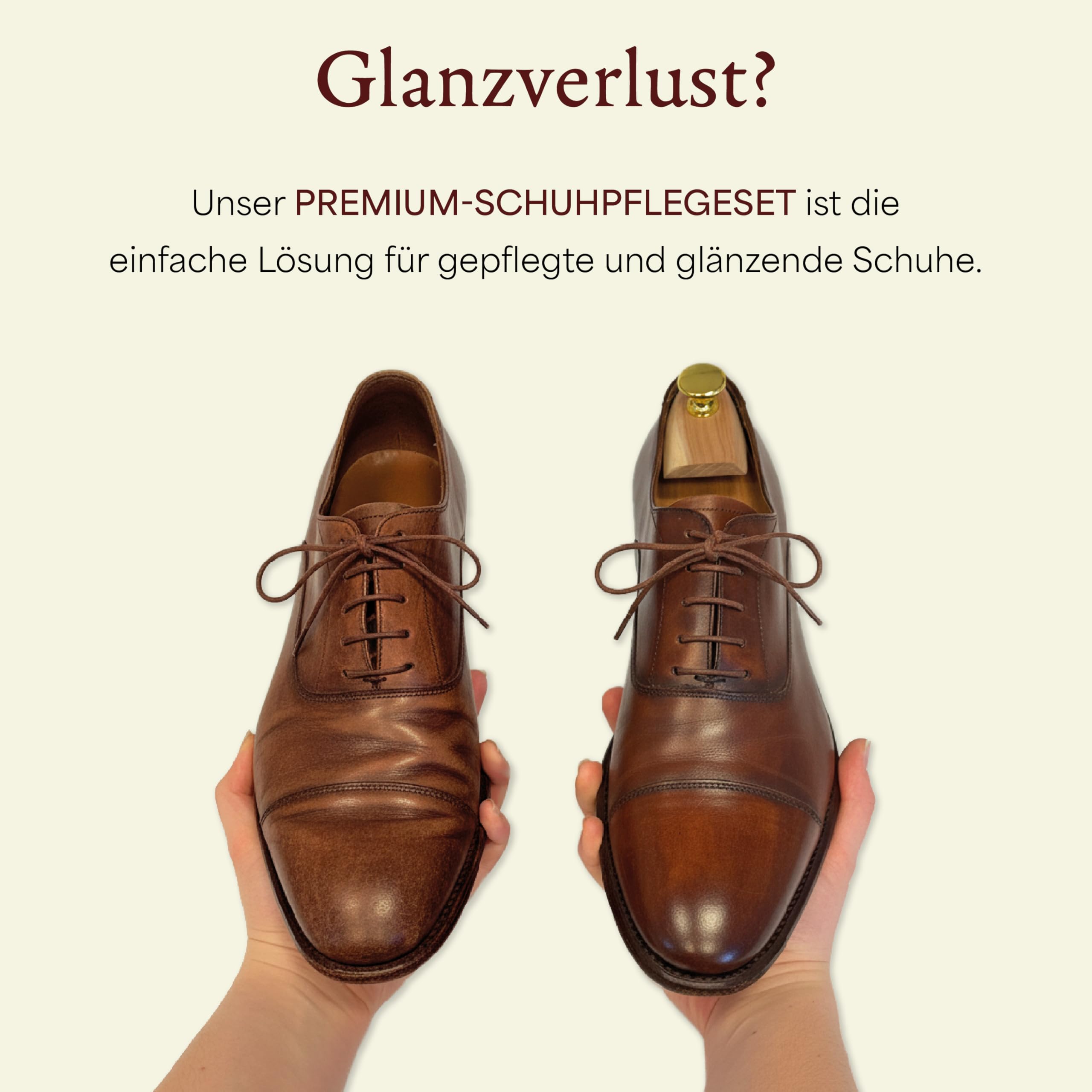 Langer & Messmer Schuhpflegeset inkl. hochwertigen Lederpflegecremes und Rosshaarbürsten zur effektiven Pflege Ihrer Glattlederschuhe - Das Schuhputzset für die professionelle Schuhpflege