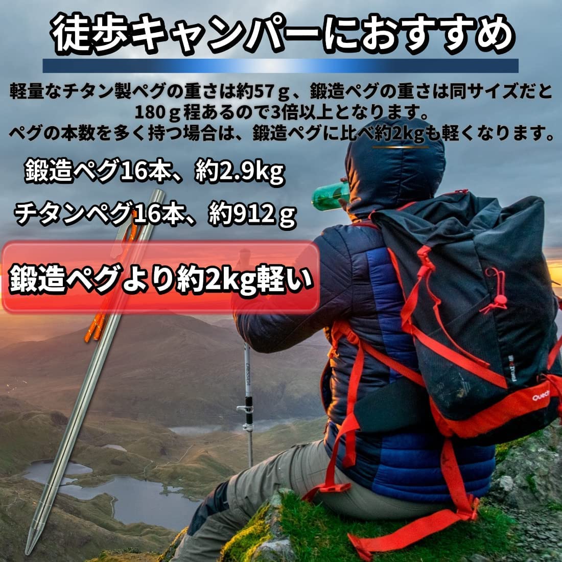 Amazon.co.jp: ペグ チタン チタンペグ24cm テント タープ アウトドア 