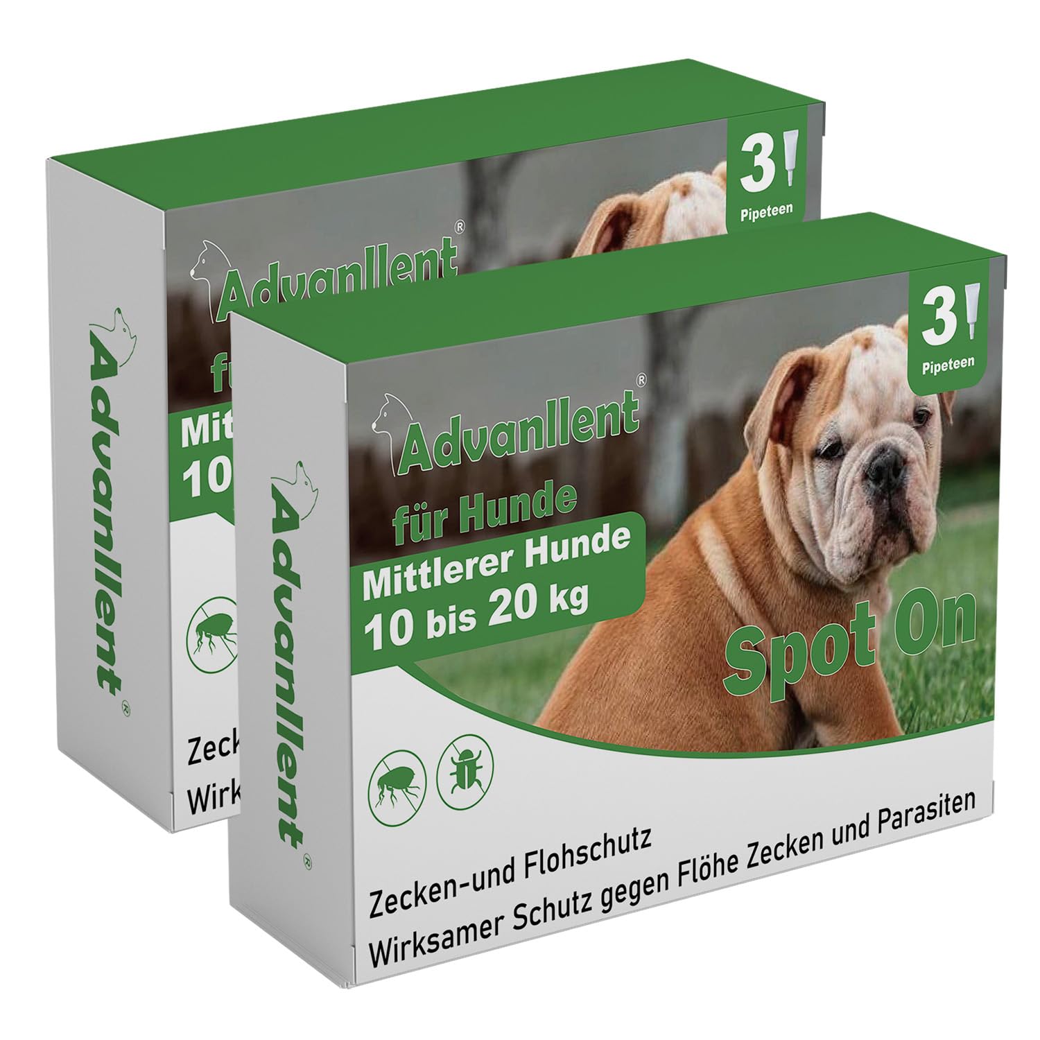 Zeckenschutz für Hunde 6 Pipetten, Spot On Hund, Zeckenmittel für Mittlerer Hunde 10 bis 20 kg, Hunde flohmittel entwurmungsmittel für Hunde, gegen Flöhe & Zecken