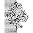 Stampendous Cling Rubber Stamp, Tree Poem Image
