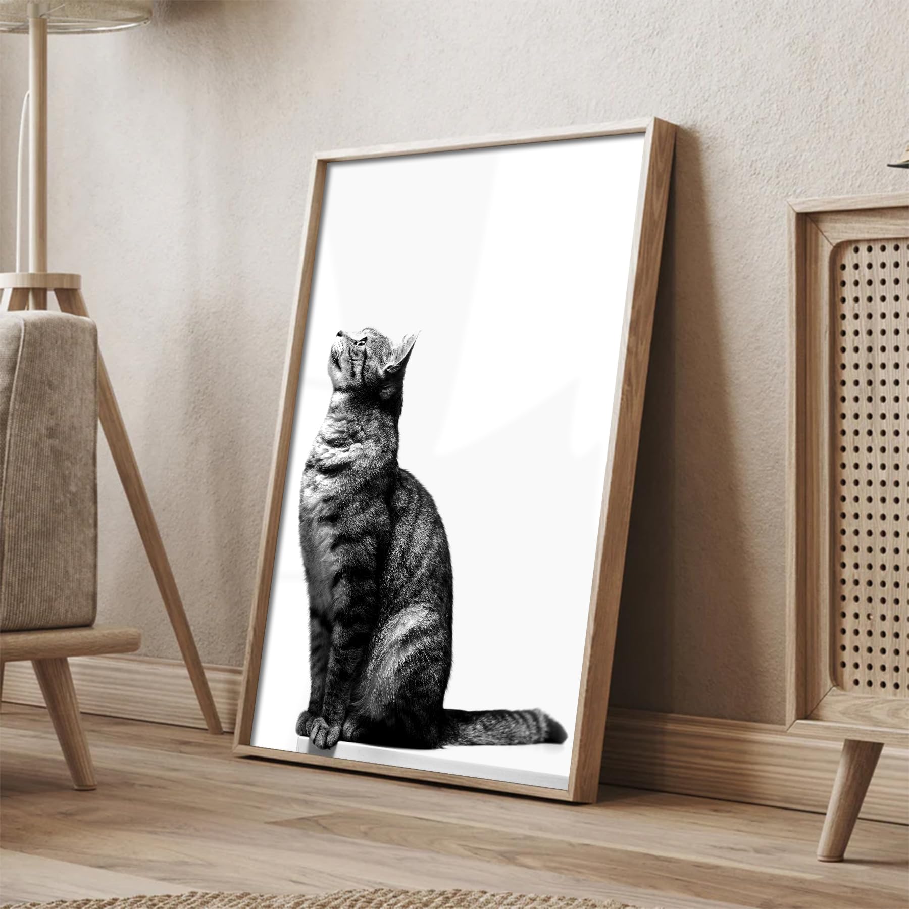 Amazon.co.jp: 【猫 写真 ポスター】【猫の写真 絵 インテリアポスター