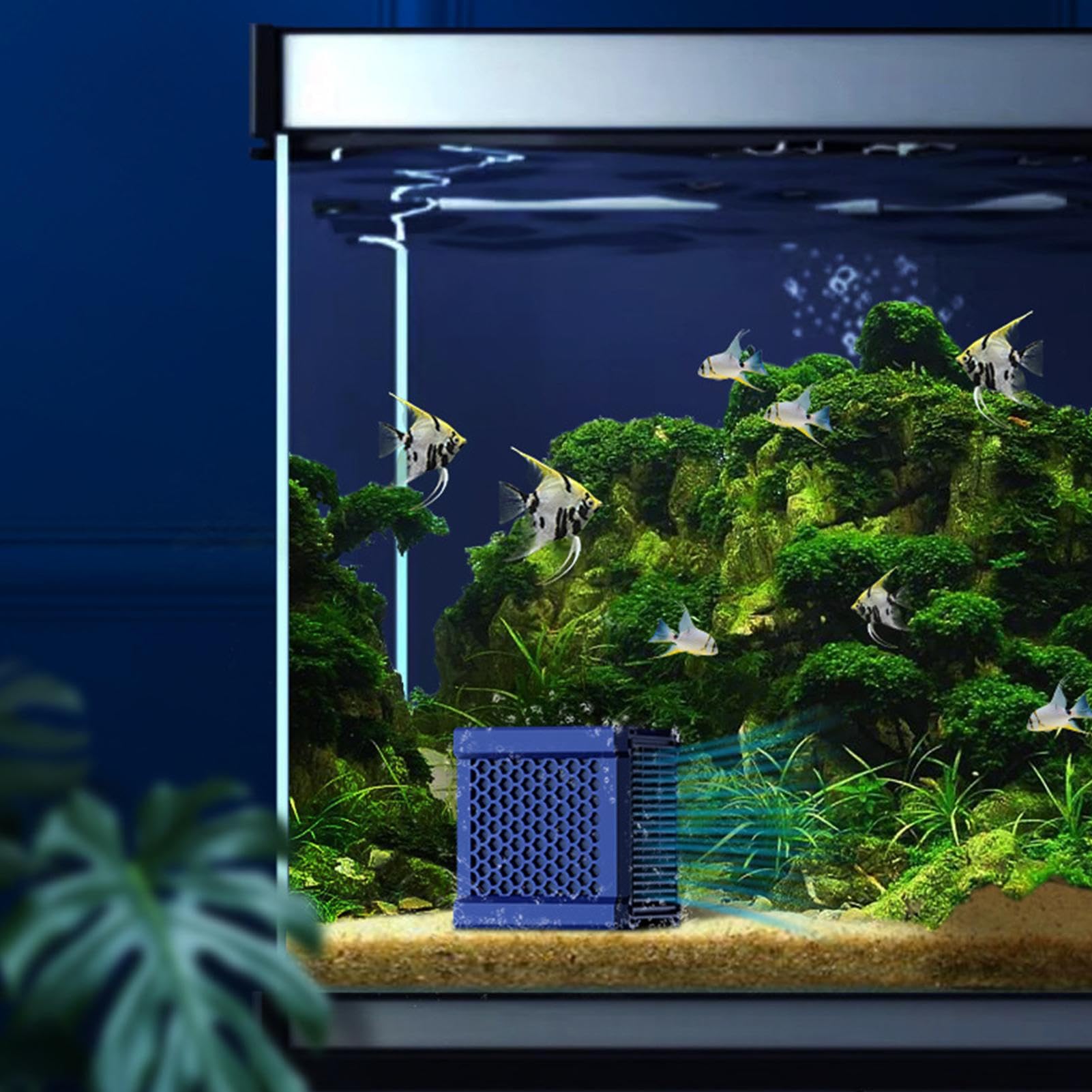 Amazon.co.jp: 浄水器キューブ - 水槽用活性炭キュービックフィルター