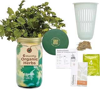 Modern Sprout Mason Garden Jar - Self-Watering Hydroponics Growing Syste...