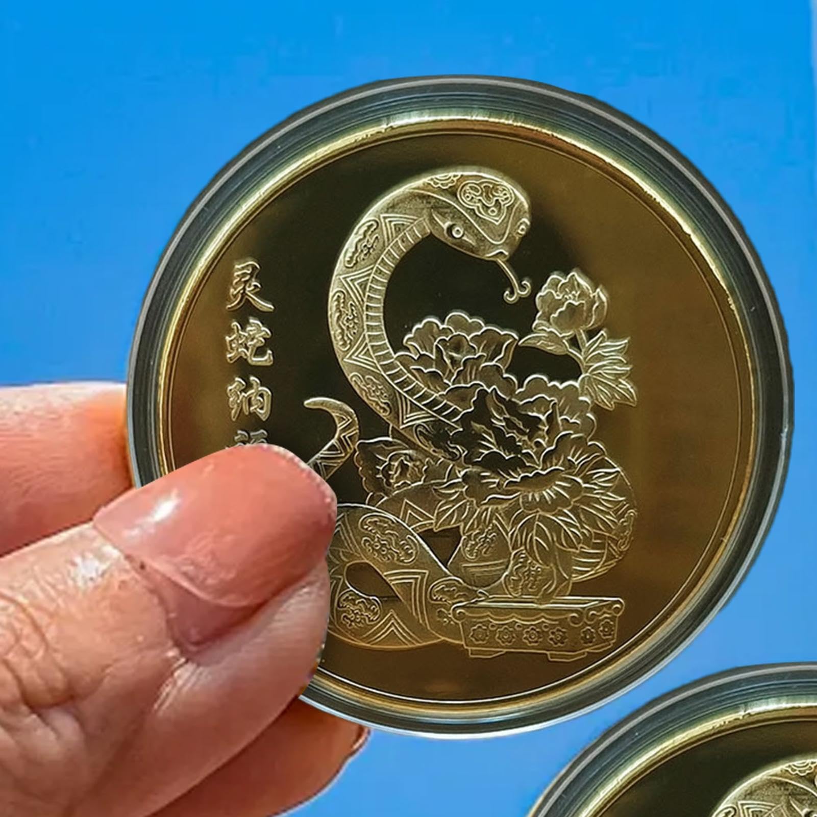 Moneda de la Suerte, Moneda de Buena Suerte - Moneda de Metal portátil de Año Nuevo | Conmemoración Coleccionable, Moneda de desafío del año Lunar, Recuerdo Chino para enriquecer a los coleccionistas