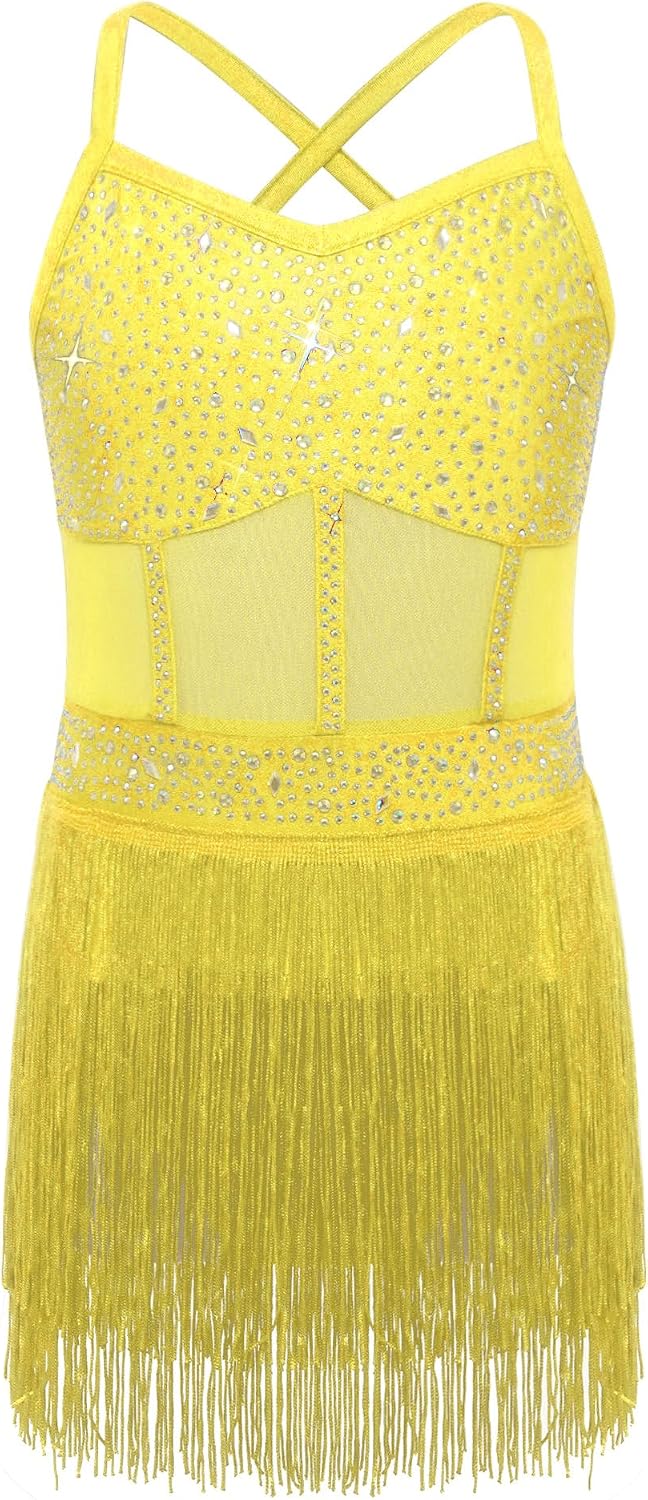 Kids Girls Tassel Latin Dance Dress Rhinestone Ballroom Samba Rumba Tango Dance Leotard Fringe Dress