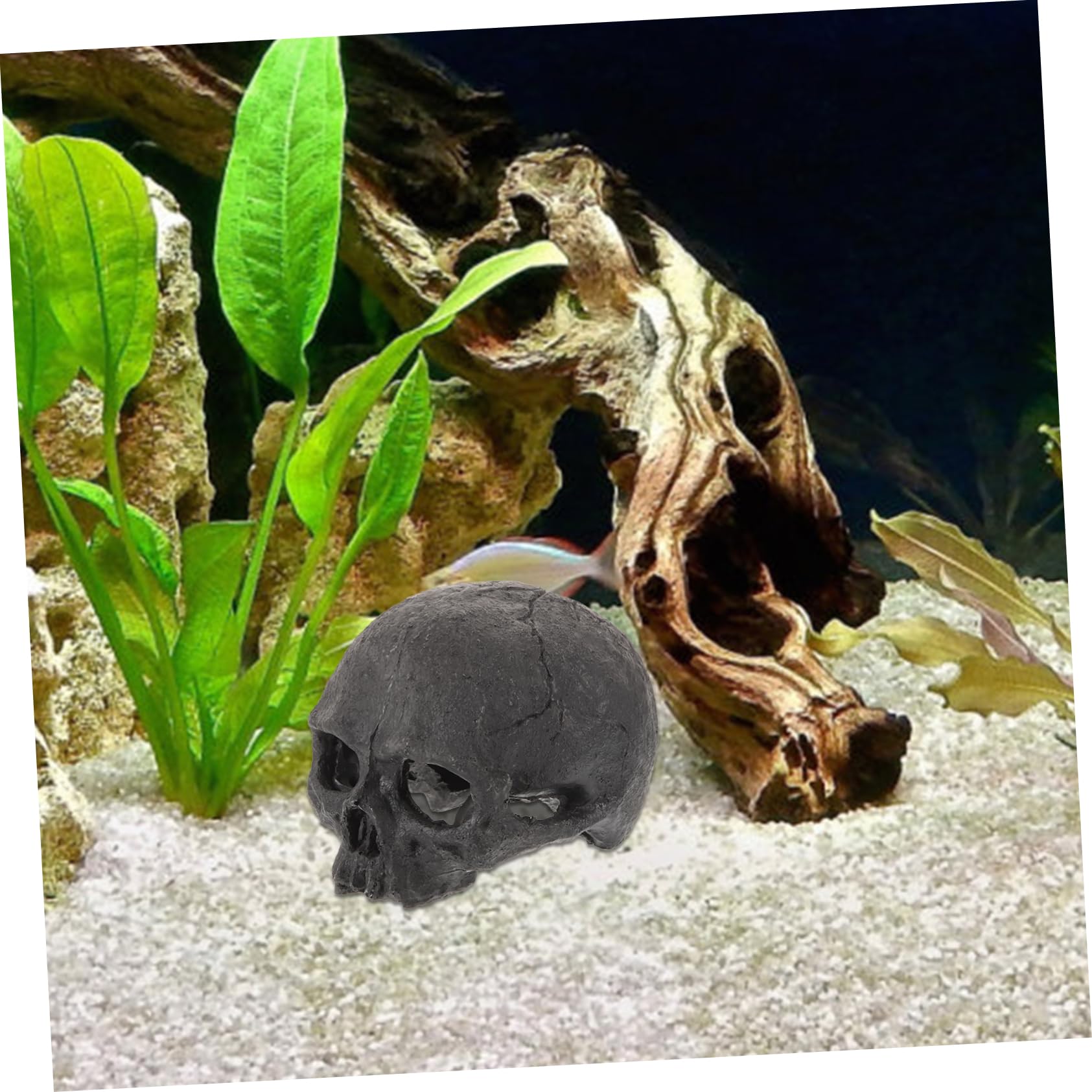 4 Pièces Ornement Crâne Résine pour Aquarium Décoration de Réservoir Abri pour Reptiles Poissons Design Élégant pour Décorations de Bureau