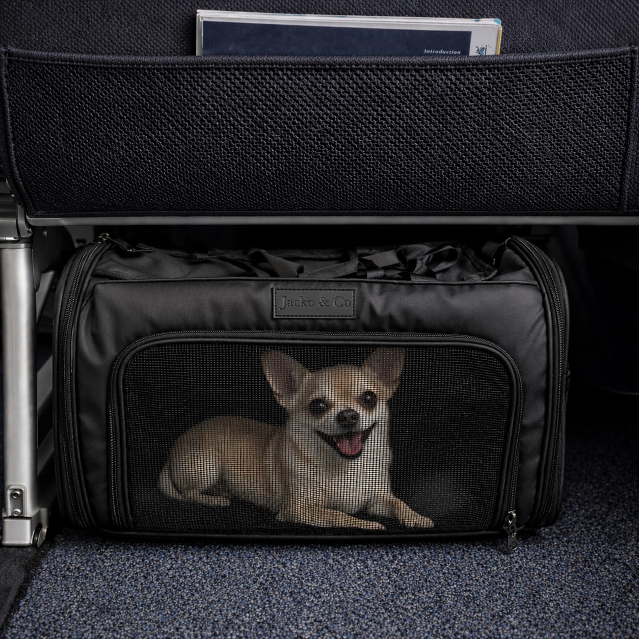 JACKO & CO - Premium Dog & Cat Carrier up to 10lbs, TSA Airline Approved with Luggage Loop, Soft-Sided Travel Carrier Bag for Pets, Small Dogs, Puppies, Kittens, Ventilated Windows & Fully Collapsible