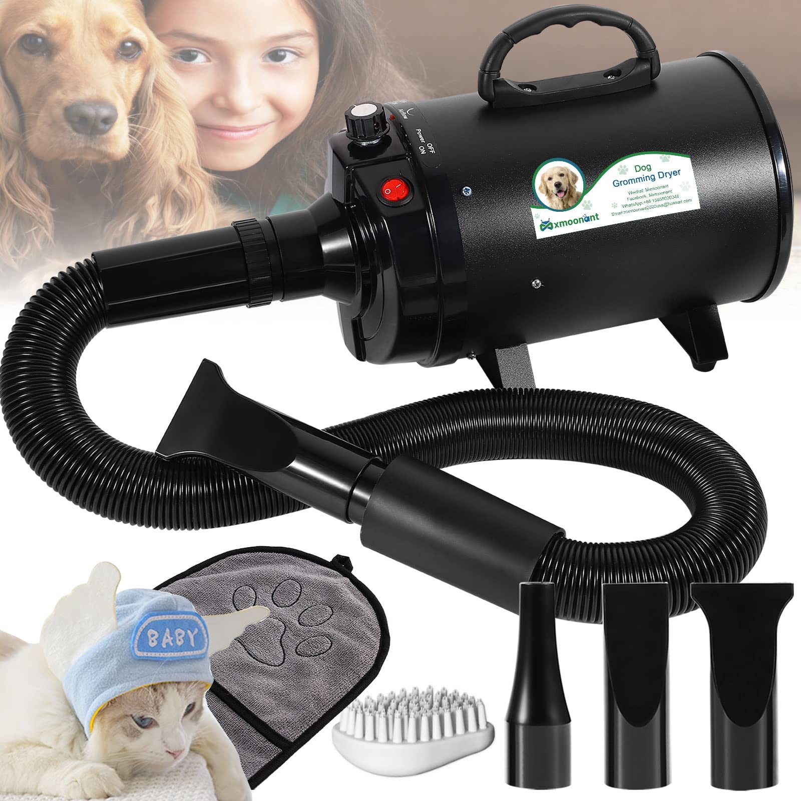 Best Dog Hair Dryer Best Hairstyles Ideas for Women and Men in 2023
