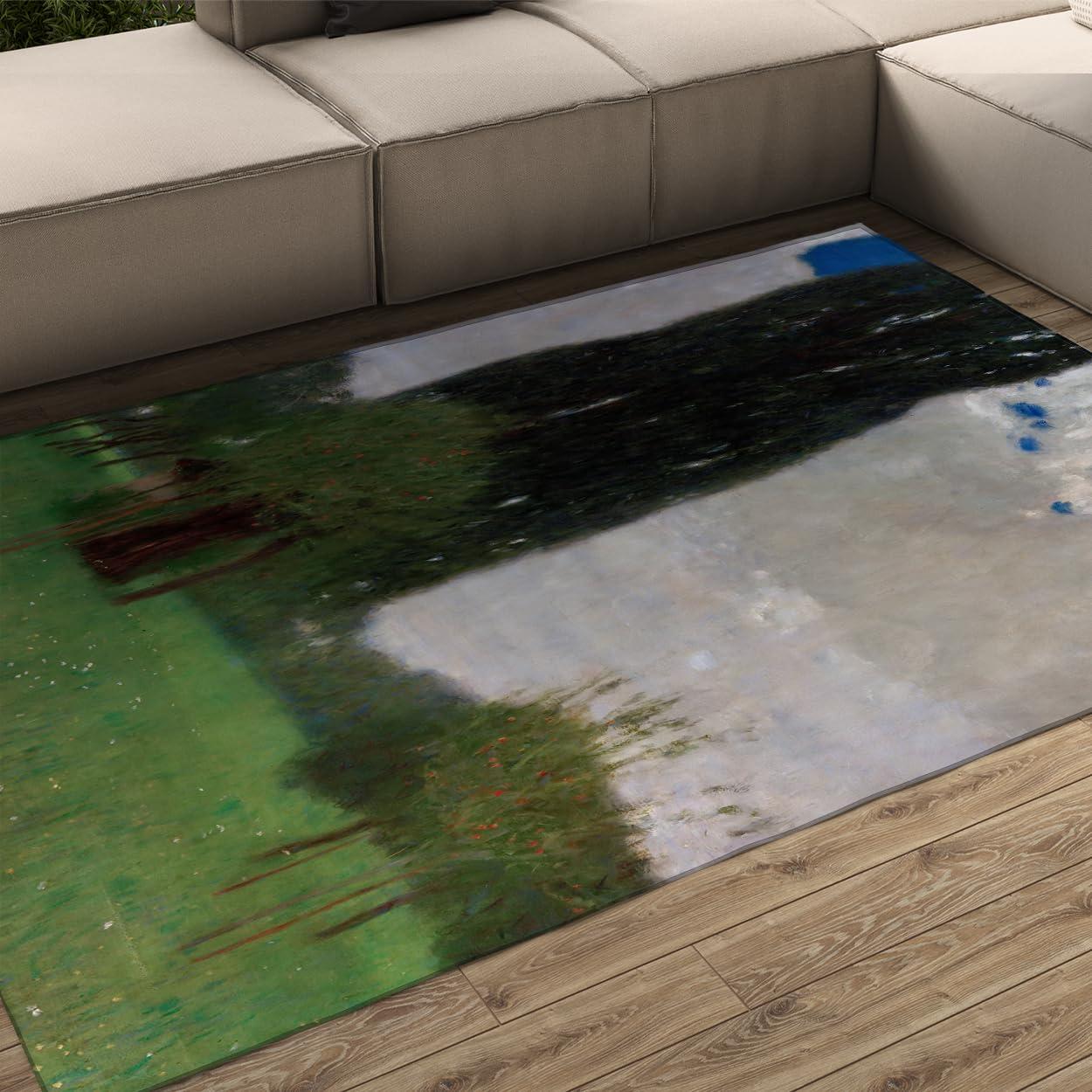Tapis Rustique 90x120 Tapis Lavable Salon Chambre
