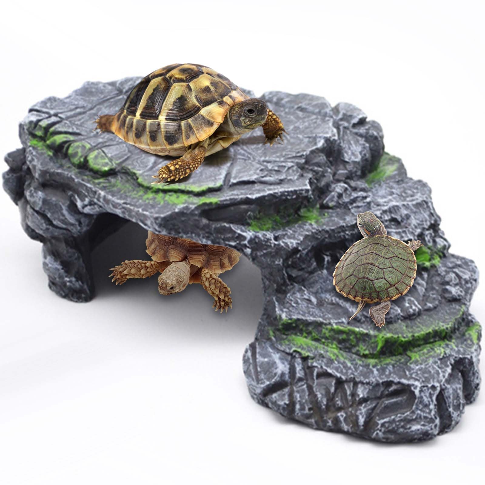 Photo inspiration: Fresh Look at Snapklik Com Moonorange Turtle Basking Platform Turtle Tank