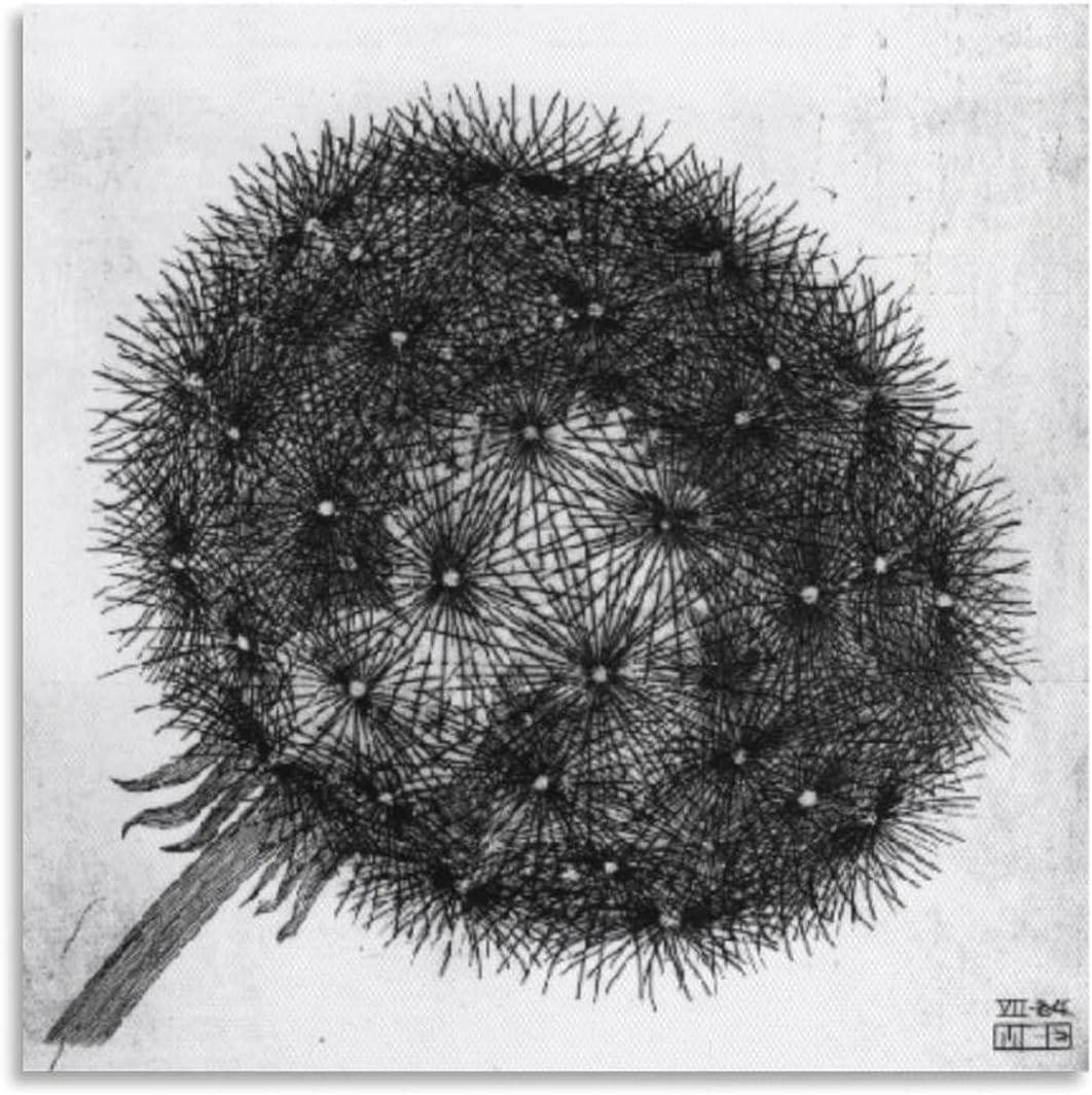 Matvsd Kohecs M.C. Escher Poster《Blowball I》Canvas Painting M.C. Escher Wall Art Aesthetic Illustration Prints for Office Home Decor Picture 30x30cm Frameless