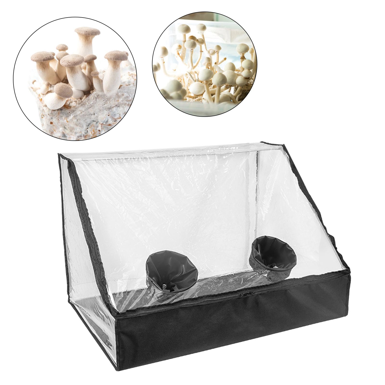 Jiawu Kit de Culture de Champignons, kit de Culture de Champignons,kit de Culture de Champignons,kit de Culture de Champignons,kit de Culture de Champignons,kit de Culture de Champignons