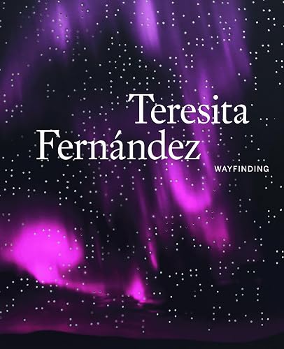 Teresita Fernández: Wayfinding