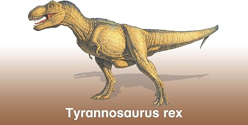 Miniatura 8 de Dinosaurio Tarjetas Flash con la diversión hechos y Pronunciación Claves para cada dinosaurio por el flash de Brilliance