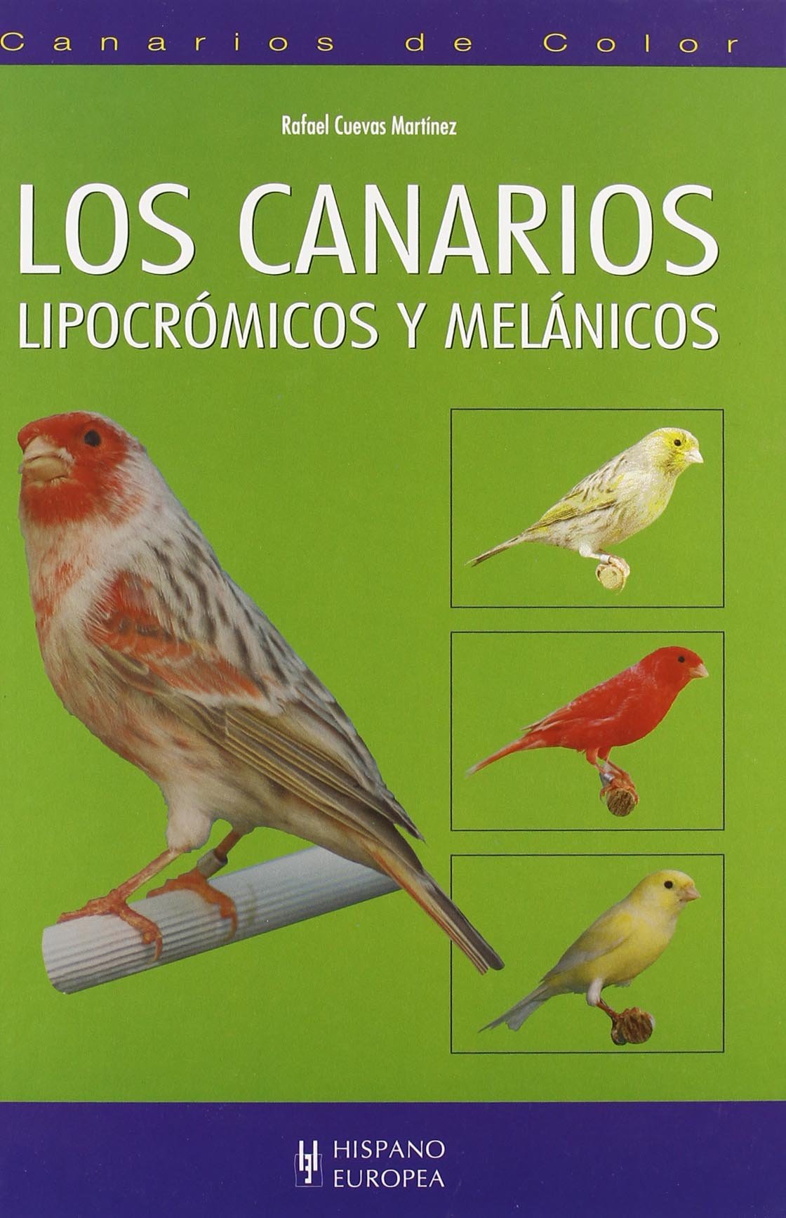 Los canarios lipocrómicos y melánicos (Canarios de color)