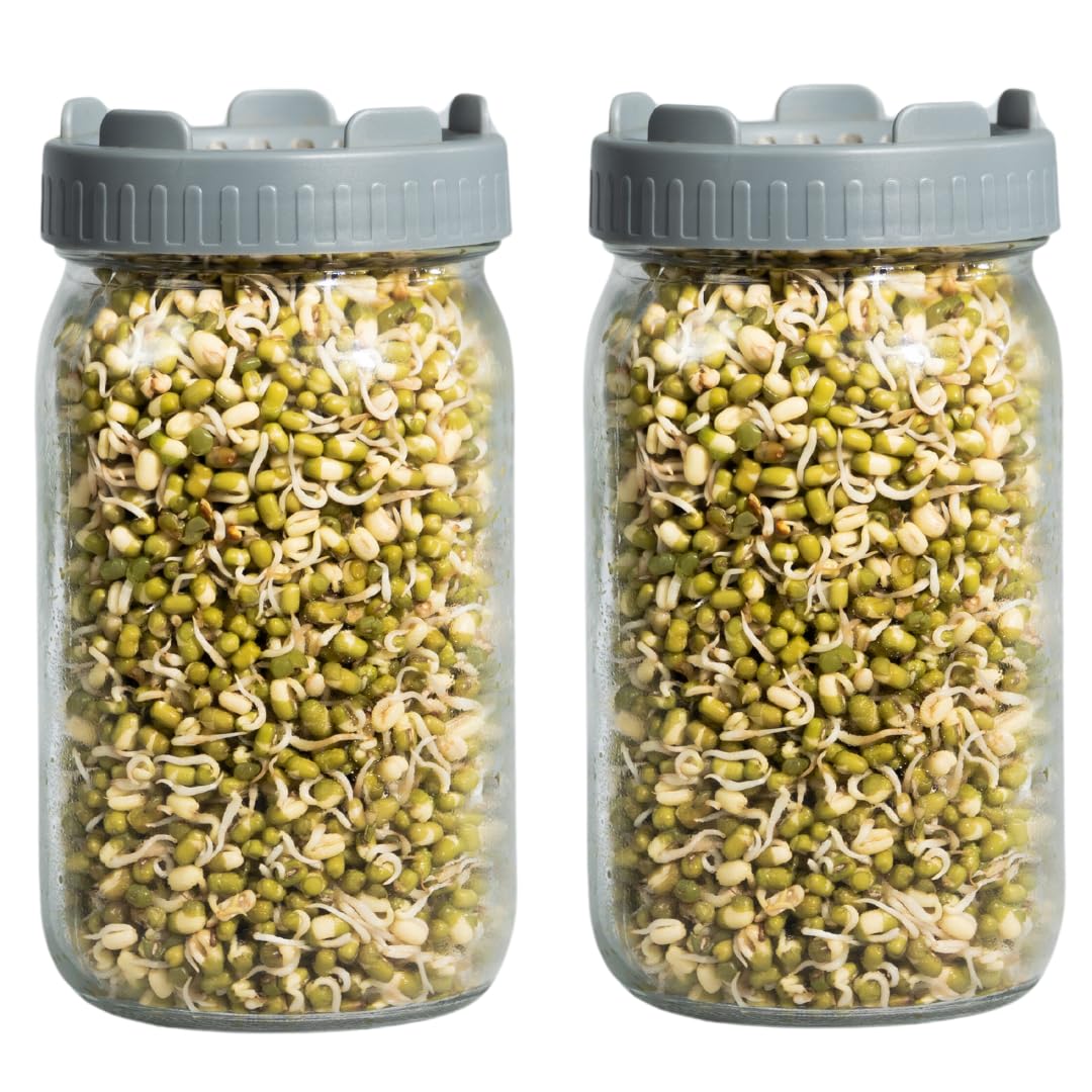 CRAFTEDLOG Sprout Jar | Sprouting Kit with Hygienic Sprout Maker Box and Air Ventilated Mesh Lid | Easy Sprouting for Alfalfa, Moong Dal, Chana, and More | 1L Glass Sprouting Jar - Made in India (2)-image-47