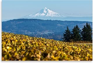 Contemporary Dundee Hills II by Stan Hellmann (Printed on Paper); One 24x16in Fine Art Paper Giclee Print