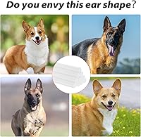 Vista 3 de Soporte de corrección de soporte fijo para perros, cinta de espuma especial 3M, fácil de usar, suministros para perros, para perros Doberman, Corgi