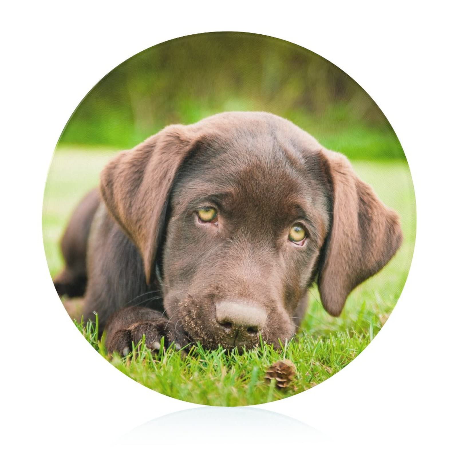 Chiot planche à découper antidérapante en verre trempé pour éviter les glissades