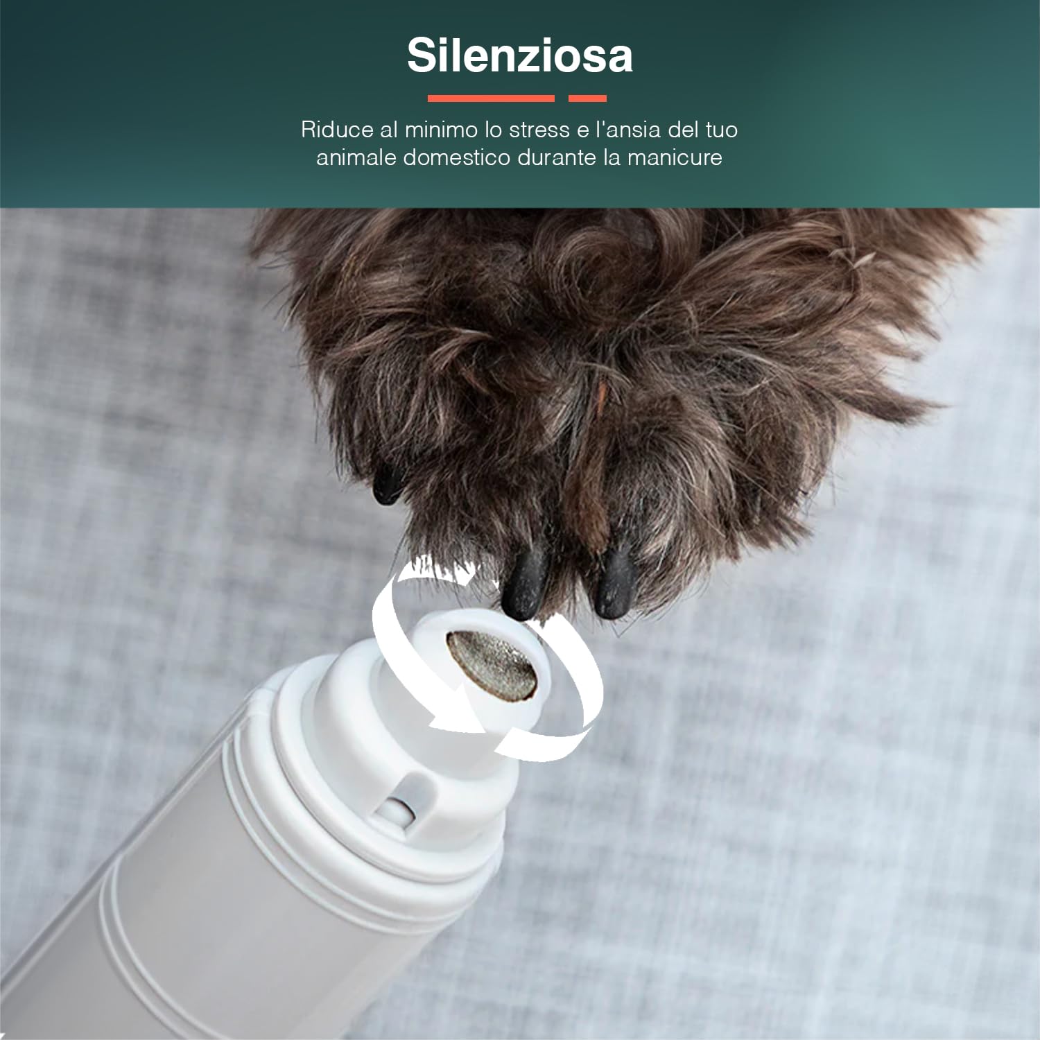 Avilia Lima per Unghie per Animali Domestici, Elettrica - 3 velocità Regolabili, 2 Fessure di Dimensioni Diverse, Adatta a Tutti i Tipi di Animali, Funzionamento a Batterie, in ABS, 3.5x13x3cm