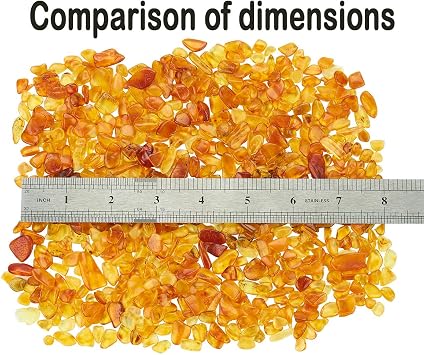 Baltic Amber Natural Fossil Insects,Insects from Millions of Years ago,True Insect Samples-Science Classroom Science Education Animal Specimens (100g Amber, 5 Pieces with Fossil Insects)