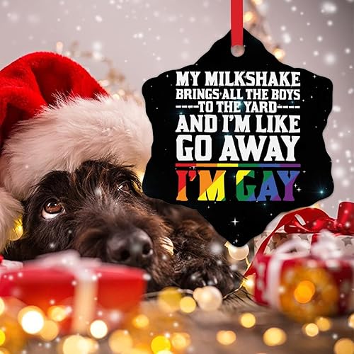 Miniatura 4 de Adornos para árbol de Navidad I'm Gay I'm Like Go Away Adornos LGBT Decoración de árbol de Navidad Lesbiana Gay Progreso Orgullo Bisexual LGBTQ