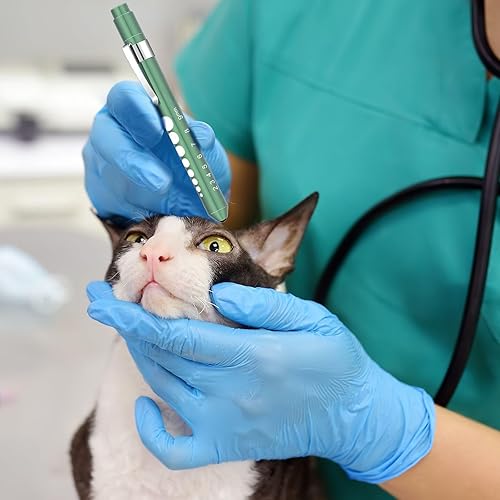 Vista 6 de Nuanchu Penlight para bolígrafo de enfermera, luz LED reutilizable con medidor de pupila para antorcha, estudiantes de medicina, médicos, uso diario