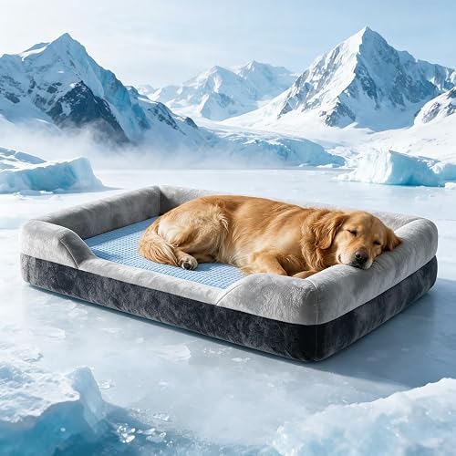 Extra Large Orthopedic Dog Bed XL product photo (Beds & Crates) — ScooterReviewPro review