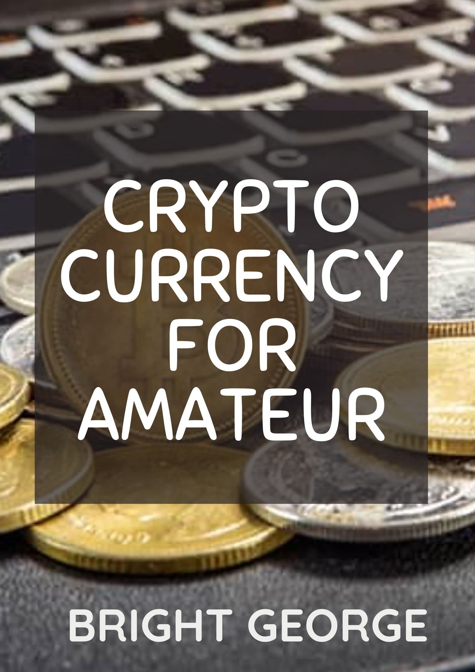 Cryptocurrency For Amateur The Ultimate Guide To Understanding Trading  Investing | Desertcart Seychelles