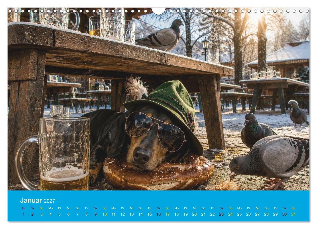 Calendrier 2027 · Teckels, bière et bretzels