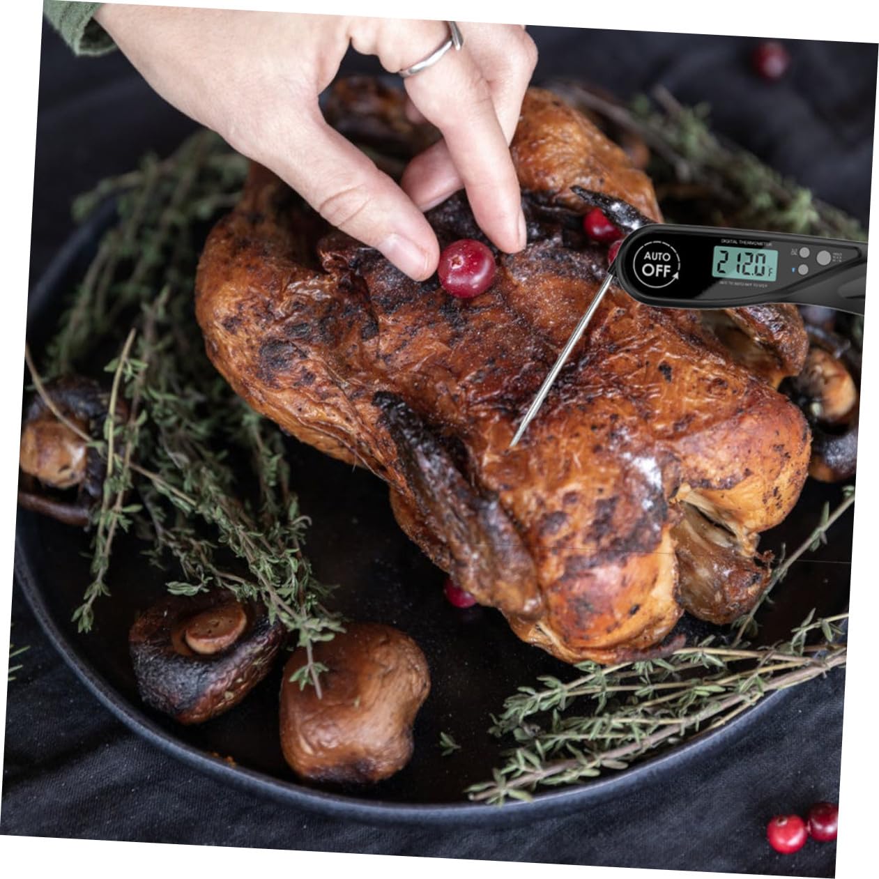 Amosfun 2 Piezas Termómetro De Barbacoa Sonda De Lectura Instantánea Medidor De Temperatura De Mermelada Termómetro De Carne a La Parrilla Freidora Parrilla De Comida Black Abdominales