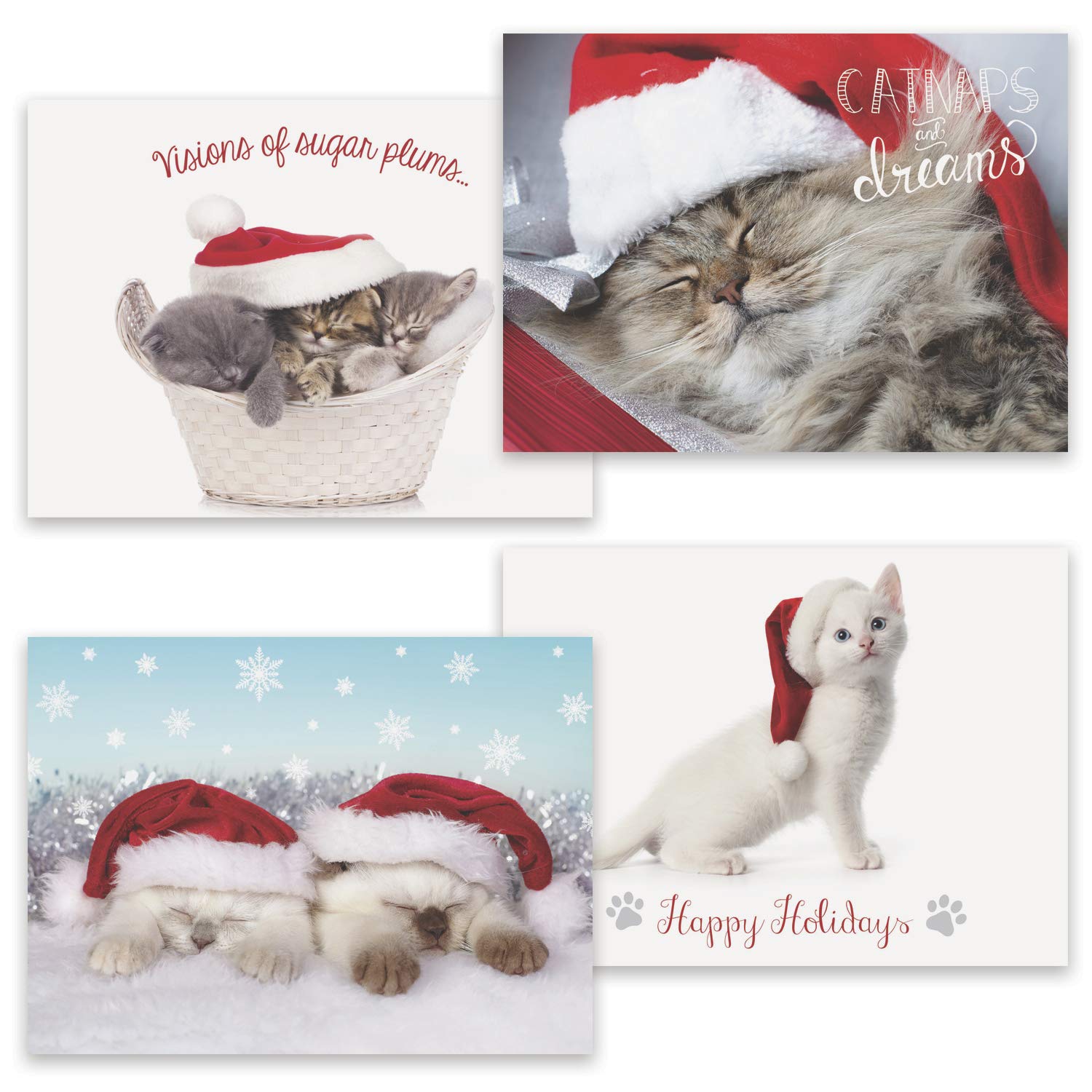Masterpiece Studios 16-Count Boxed Assorted Christmas Cards, 4 each of 4 Different Designs, 6.25 x 4.62, Purrrfect Holidays