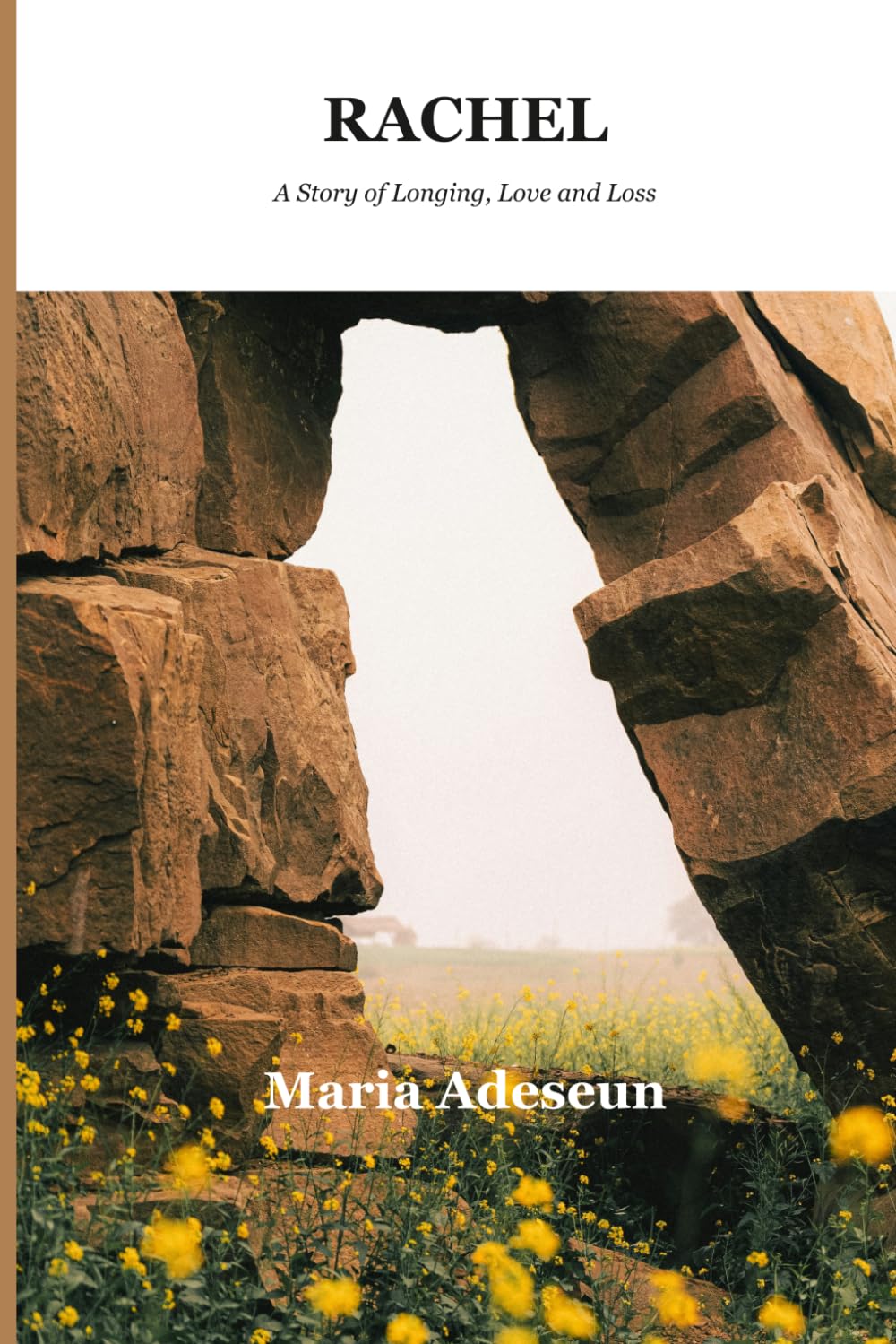 Rachel: A Story of Longing, Love and Loss. (Biblical Portraits)