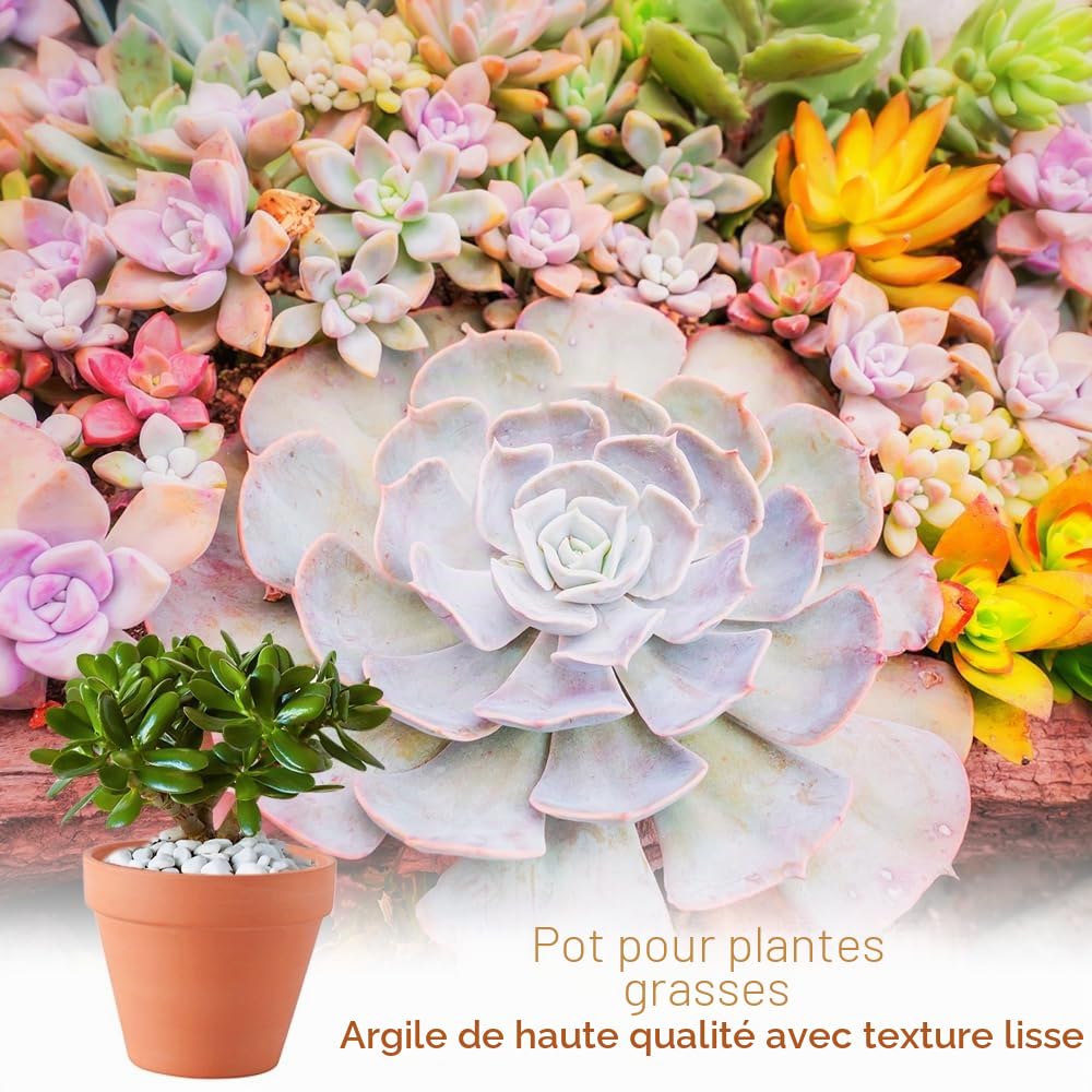 Lot de 10 Pots en Terre Cuite de 10 x 8 cm, Petits Pots en Argile, Mini Pots en Terre Cuite avec Trou de Drainage, Pot en Argile Réutilisable pour Plantes pour la Maison et Le Bureau