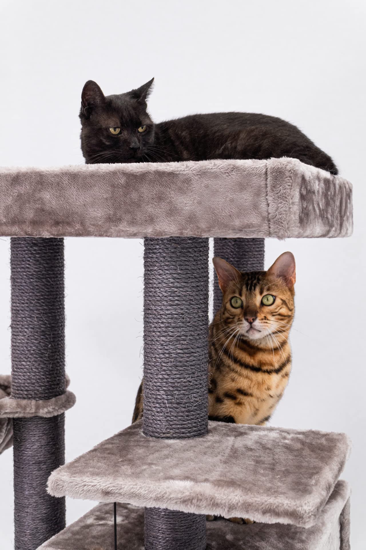 Petrebels Kratzbaum Stabil für mehrere Katzen, Cleopatra 134 cm, Cappuccino | mit dicke Bodenplatte, Ø 9 cm Stämme, waschbaren Kissen, Hängematte, Höhle & Loungesofa, auch ideal für Senioren und Kätzchen