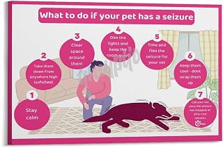 Dog Seizure Poster Vet Clinic First Aid Action Wall Art (4) Canvas for Bedroom Living Room Decor 12x08inch(30x20cm) Frame-style