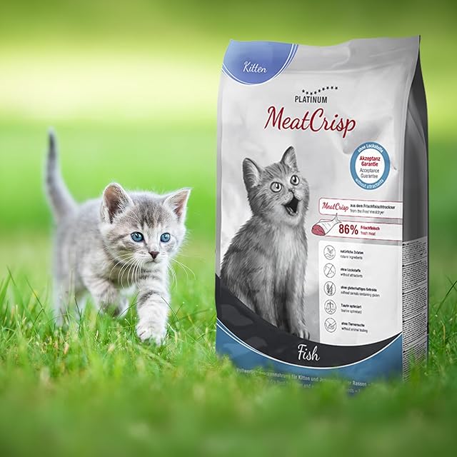 Foto 7 de 7 de PLATINUM - Comida para gatos MeatCrisp Kitten Fish - 1,5 kg, seca